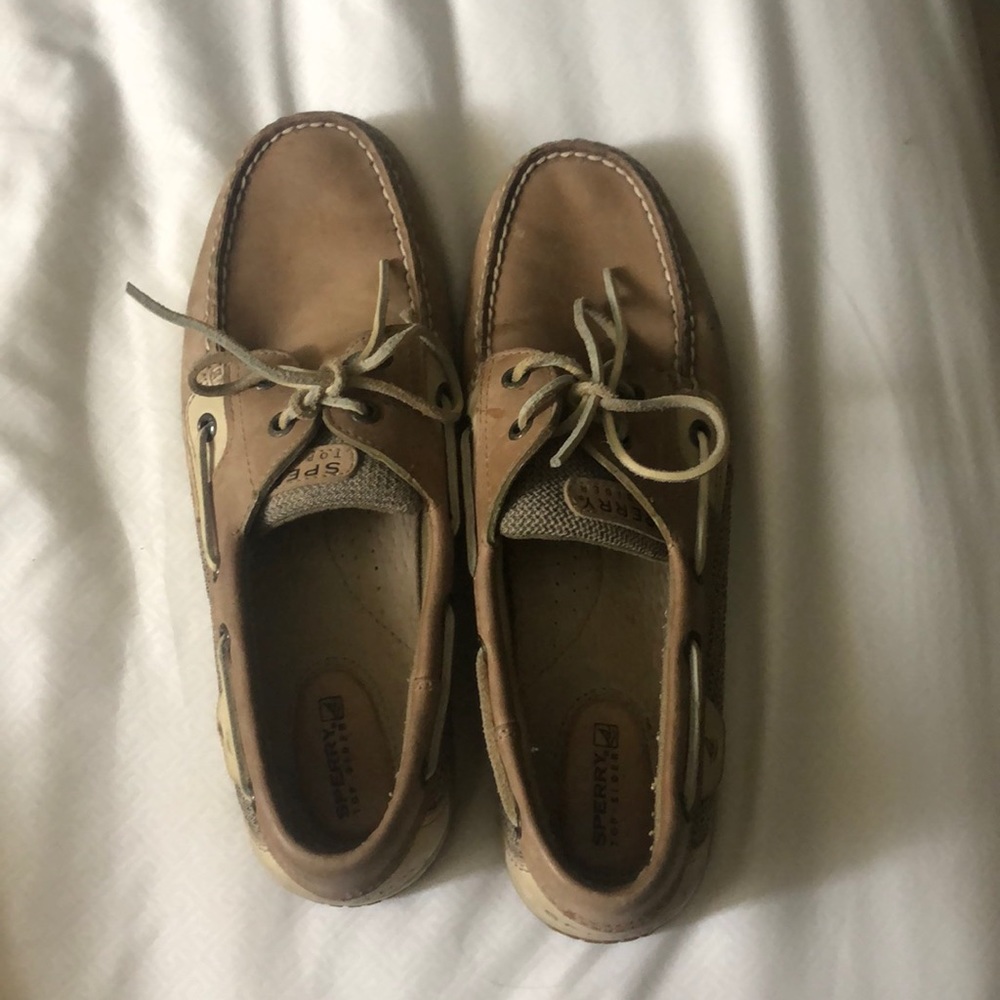 sperry classic
